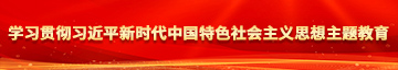 找个美女日逼看看学习贯彻习近平新时代中国特色社会主义思想主题教育